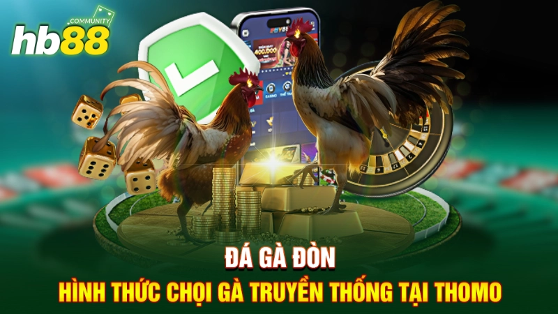 Đá Gà Đòn Thomo - Nét Đẹp Của Đá Gà Truyền Thống 1 Đá gà đòn - Hình thức chọi gà truyền thống tại Thomo
